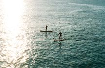Paddleboard taster and guided tour in Newquay