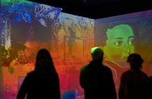 WOW Porto Combined Ticket for 5 Museums