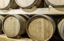 Dalmatian delights food and wine tour with Šibenik sightseeing