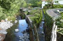 Full-day Madeira Island East tour with Santana houses visit