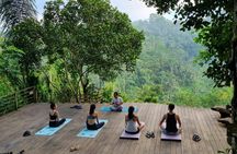 Sunrise yoga, holy bathing and palm reading experience in Bali