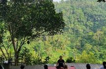 Sunrise yoga, holy bathing and palm reading experience in Bali