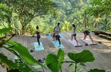 Sunrise yoga, holy bathing and palm reading experience in Bali