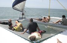 Morning sailing cruise on a catamaran from La Rochelle