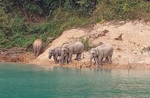 Cheow Lan Lake cruise and safari with food and drinks