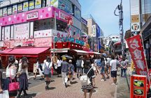 Harajuku Kawaii fashion and pop-culture tour