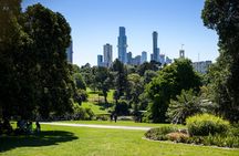 Half-day discovery tour of Melbourne City