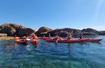 Half-day kayak tour from Bandol