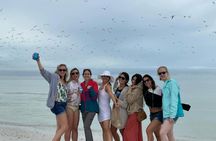 Marco Island dolphin and shelling boat tour