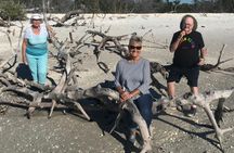 Marco Island dolphin and shelling boat tour