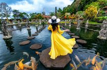 Ubud highlights and Gate of Heaven private 1-day tour