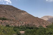 Asni Valley and Ouirgane private full-day tour from Marrakech