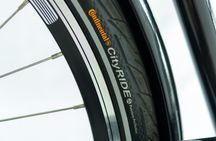 City Bike: rental for a day