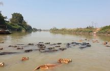 Saigon, Cat Tien National Park and Dalat in 3 days