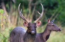 Saigon, Cat Tien National Park and Dalat in 3 days