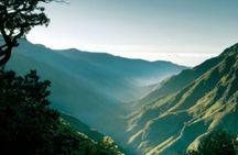 Full-day guided hike along the Levada das 25 Fontes