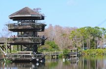 Gator Zipline and Gatorland