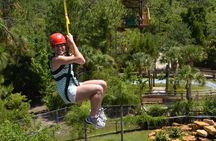 Gator Zipline and Gatorland