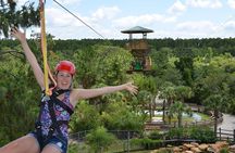 Gator Zipline and Gatorland