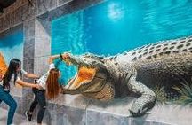 3D World Selfie Museum Dubai