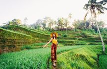Ubud private highlights tour with pickup