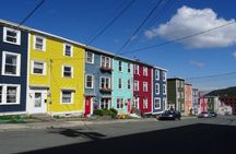 Best of St. John's guided tour with boat trip