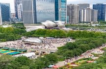 Best of Chicago Guided tour with Skydeck and river cruise
