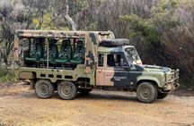 Blue Mountains 3-hour army truck adventure