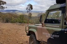 Blue Mountains 3-hour army truck adventure