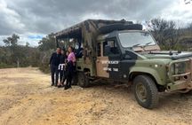 Blue Mountains 3-hour army truck adventure