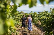 Guided tour around Melbourne Bay with food and wine trail