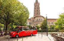 Citytour of Toulouse in panoramic minibus