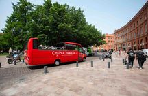 Citytour of Toulouse in panoramic minibus