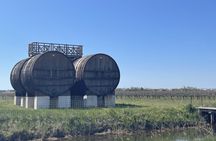 Sable de Camargue full-day minibus tour with lunch and tastings