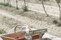 Sable de Camargue full-day minibus tour with lunch and tastings