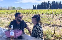 Sable de Camargue full-day minibus tour with lunch and tastings