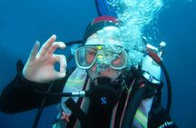 Underwater discovery dive from Pod Beli beach