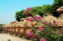 River Cruises Collection: Karnak and Luxor temples and Sphinx Avenue