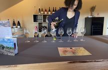 Terrasses du Larzac full-day minibus tour with lunch and tastings