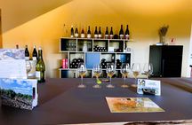 Terrasses du Larzac full-day minibus tour with lunch and tastings