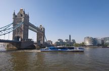 London guided tour with optional London Eye