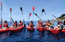 Lunchtime kayak guided tour from Bandol to Calanque