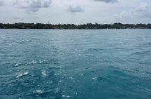 Bacalar lunch and lagoon guided tour