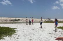 Las Coloradas Full-Day Guided Tour