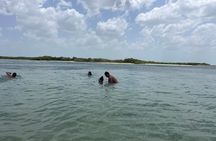 Las Coloradas Full-Day Guided Tour