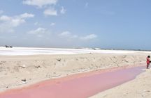 Las Coloradas Full-Day Guided Tour