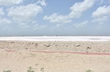 Las Coloradas Full-Day Guided Tour