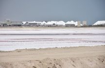 Las Coloradas Full-Day Guided Tour