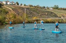 SUP beginner course in Stuttgart