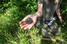 Truffle hunting and gourmet lunch in Tuscany from Florence